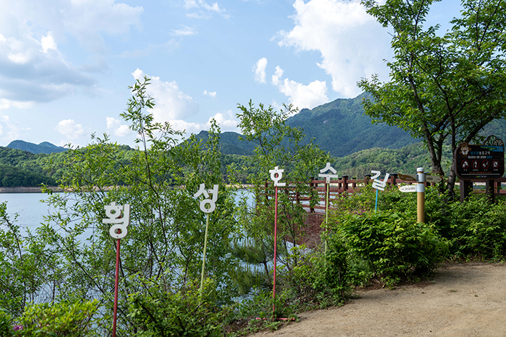 호수길전망대 이미지 3