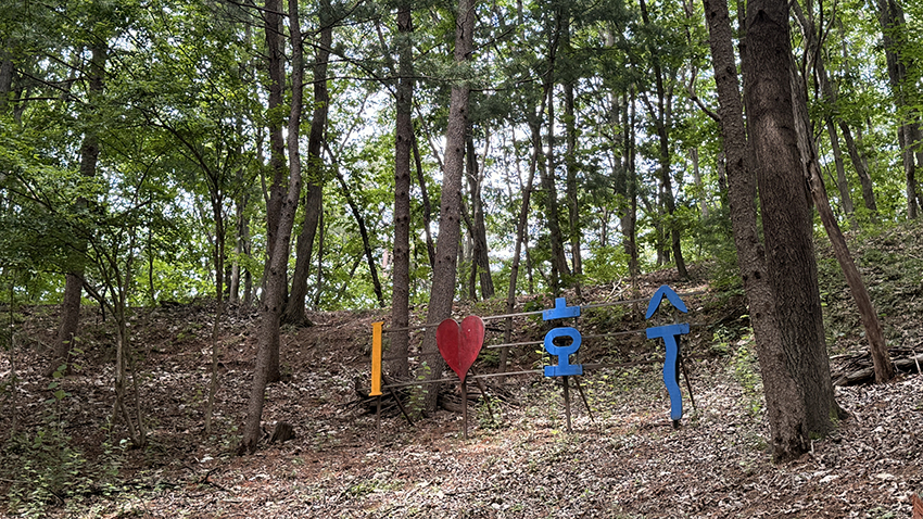 은사시나무구간