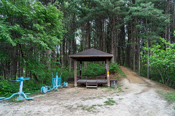 산림욕장