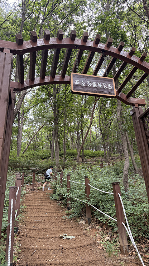 호숲풍림욕정원 이미지 6