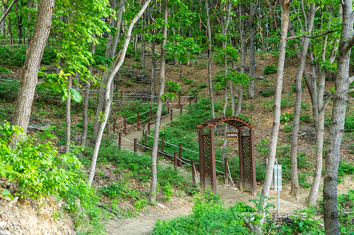 호숲풍림욕정원 이미지 5